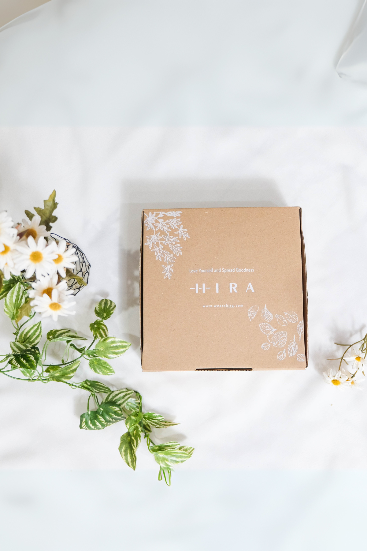 Box Hira Leaf